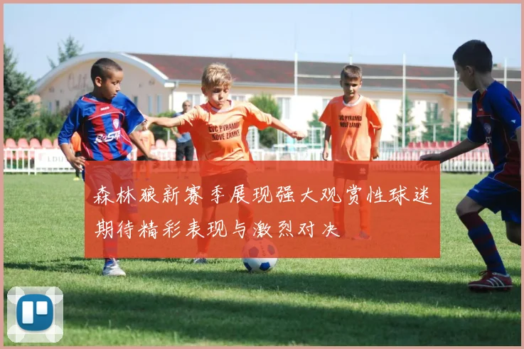 森林狼新赛季展现强大观赏性球迷期待精彩表现与激烈对决