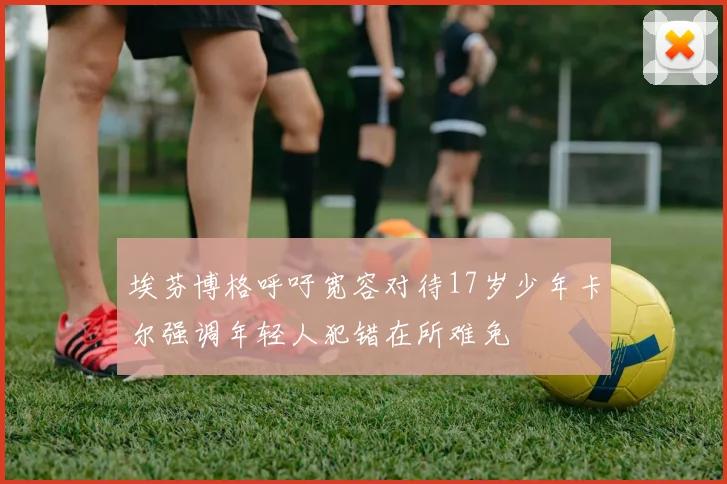 埃芬博格呼吁宽容对待17岁少年卡尔强调年轻人犯错在所难免